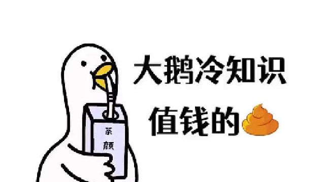 所以，健康很重要，身体才是革命的本钱