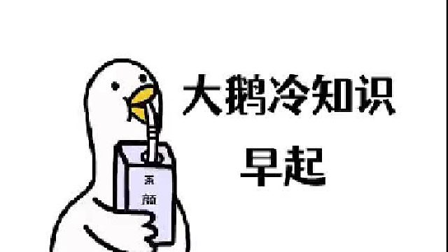 起床困难户必须get的小技巧，这个月的全勤有着落了！