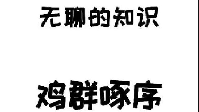 菜。。。菜鸡互啄？