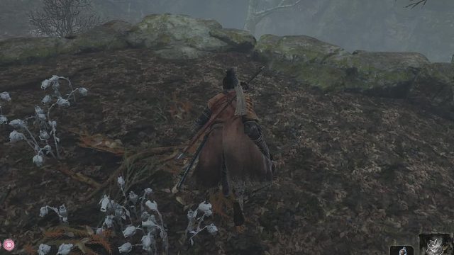 只狼！牛饮什么郎 雾隐贵人