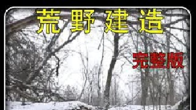 在大雪中建造嵌入式木屋，扎实的用料完全可以做到一房传三代，人走房子在（2）