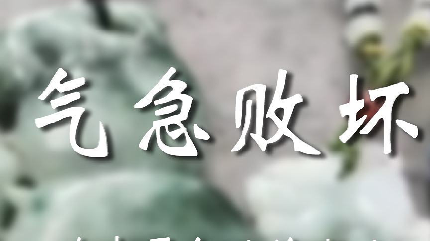 看的出来兄弟是真急了