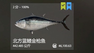 蓝冠北方蓝旗金枪鱼-溜鱼喝酒起鱼