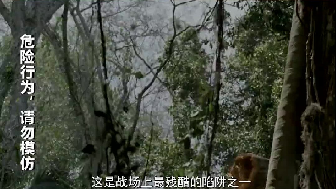 让人生不如死的残酷陷阱，简单粗暴威力惊人，美军提起后怕不已！ 2