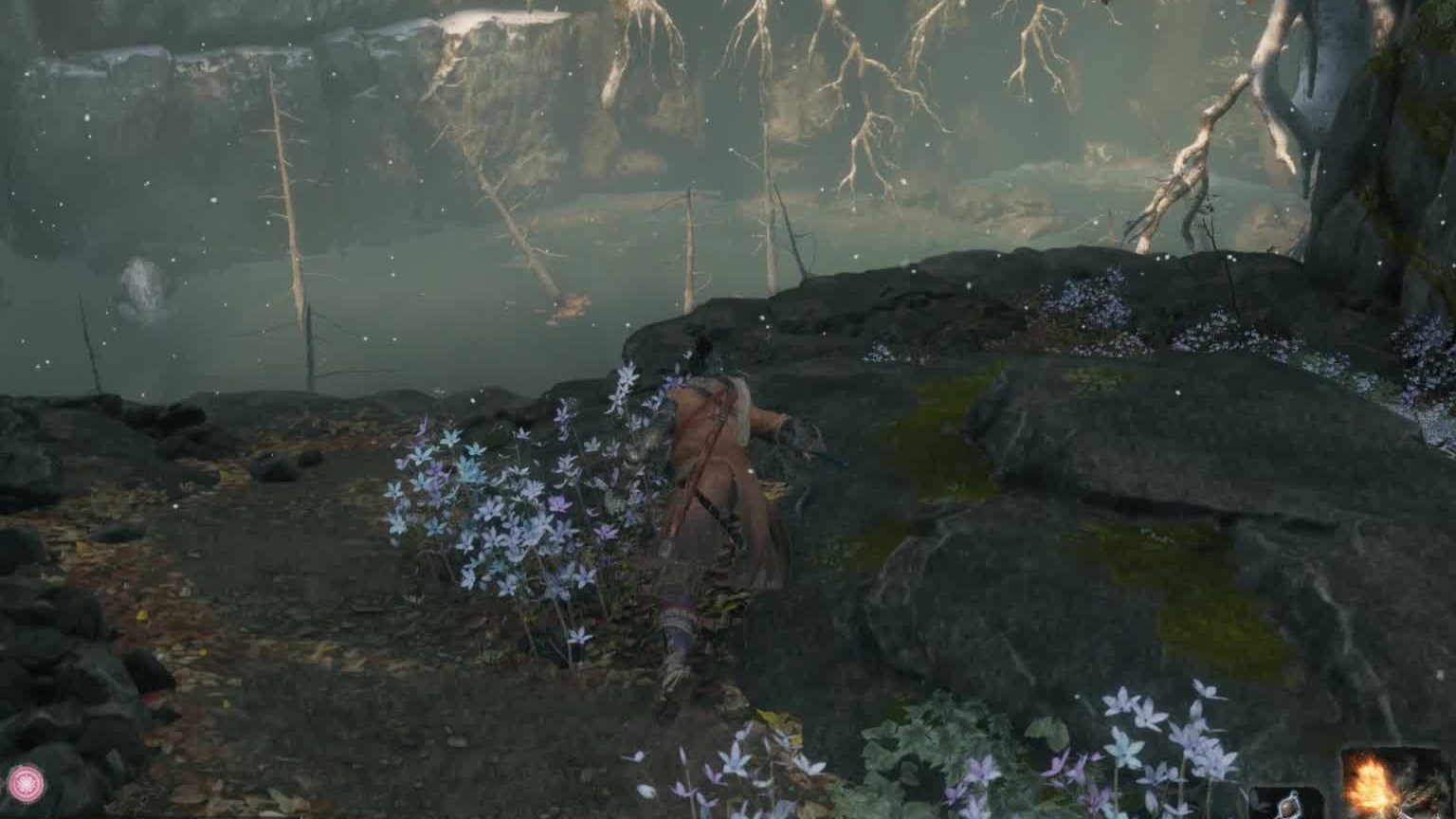 只狼！狮子猿!多少都给我留了点心里阴影!