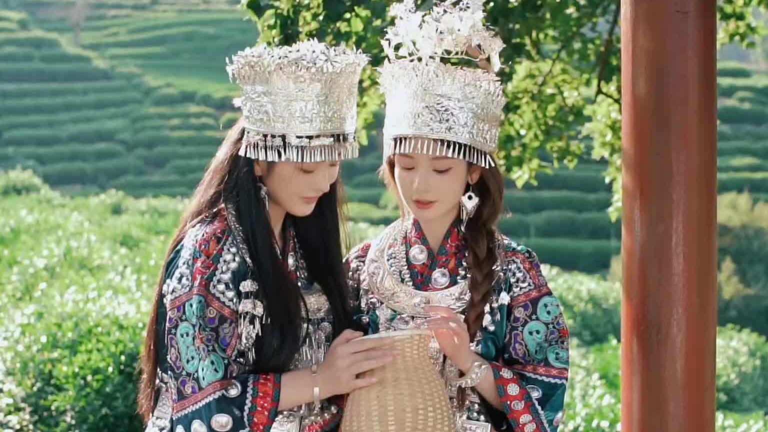 来茶园采茶 怎少的了苗疆风情