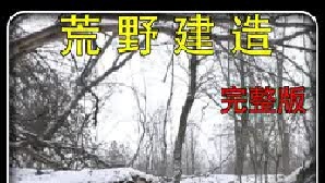 在大雪中建造嵌入式木屋，扎实的用料完全可以做到一房传三代，人走房子在（9）