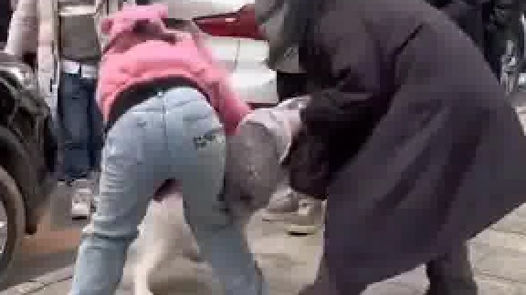 都不拴绳，大街跟动物园似的