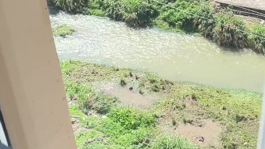 这要是放走近科学能拍几集啊