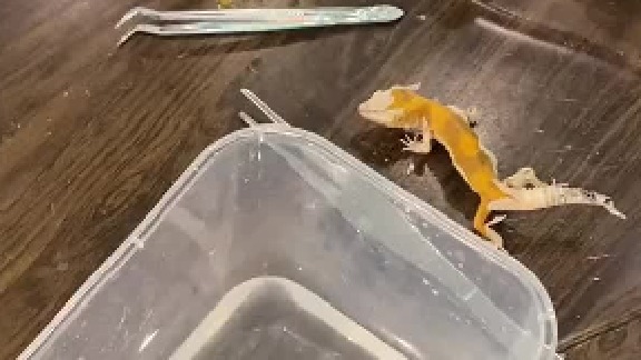 身体发白就是要变身啦，泡一泡