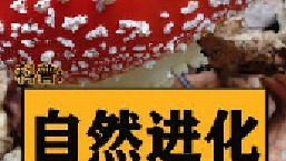 人体结构构造堪称大自然进化的奇迹之一，任何器官都无可替代