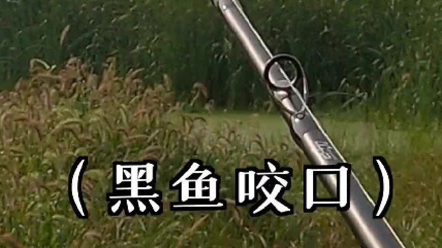 （上集）钓友为让我俩能（上集）钓友为让我俩能中鱼，竟提前封了钓点，还准备了船...
