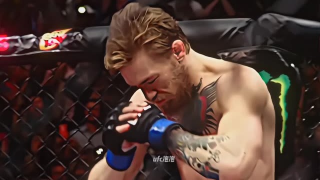 “狮子不会因为狗叫而回头”