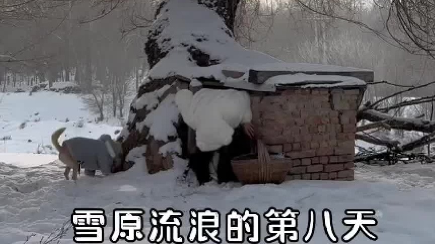 小希寻家记 第8天