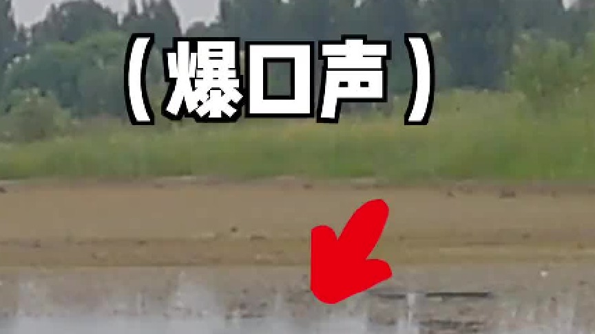 这次，好像吸干了一整个钓友群的欧气..