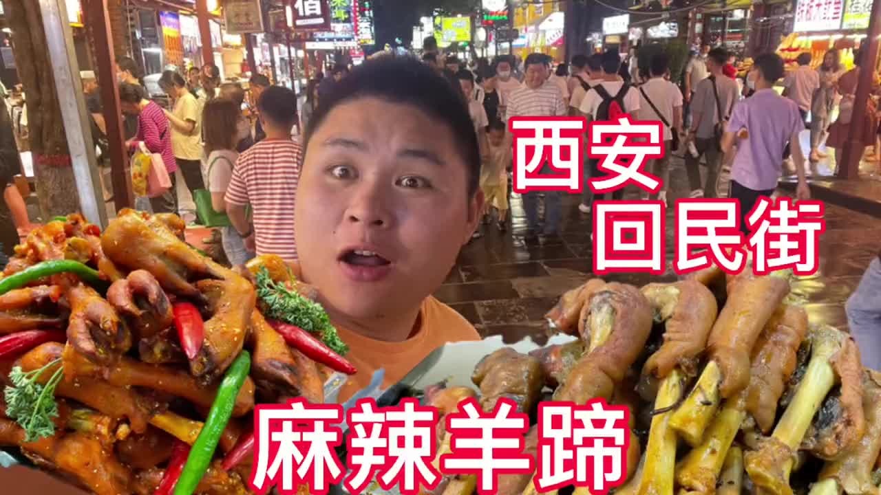 西安超热闹的回民街，各种小吃看的眼花缭乱，大胖花200都没吃够