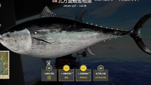 再次上星金枪鱼