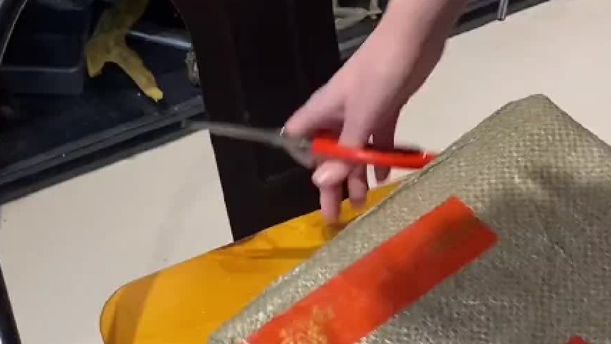 #萌宠蜜袋鼯 在它面前我就是一座大山，吓坏了