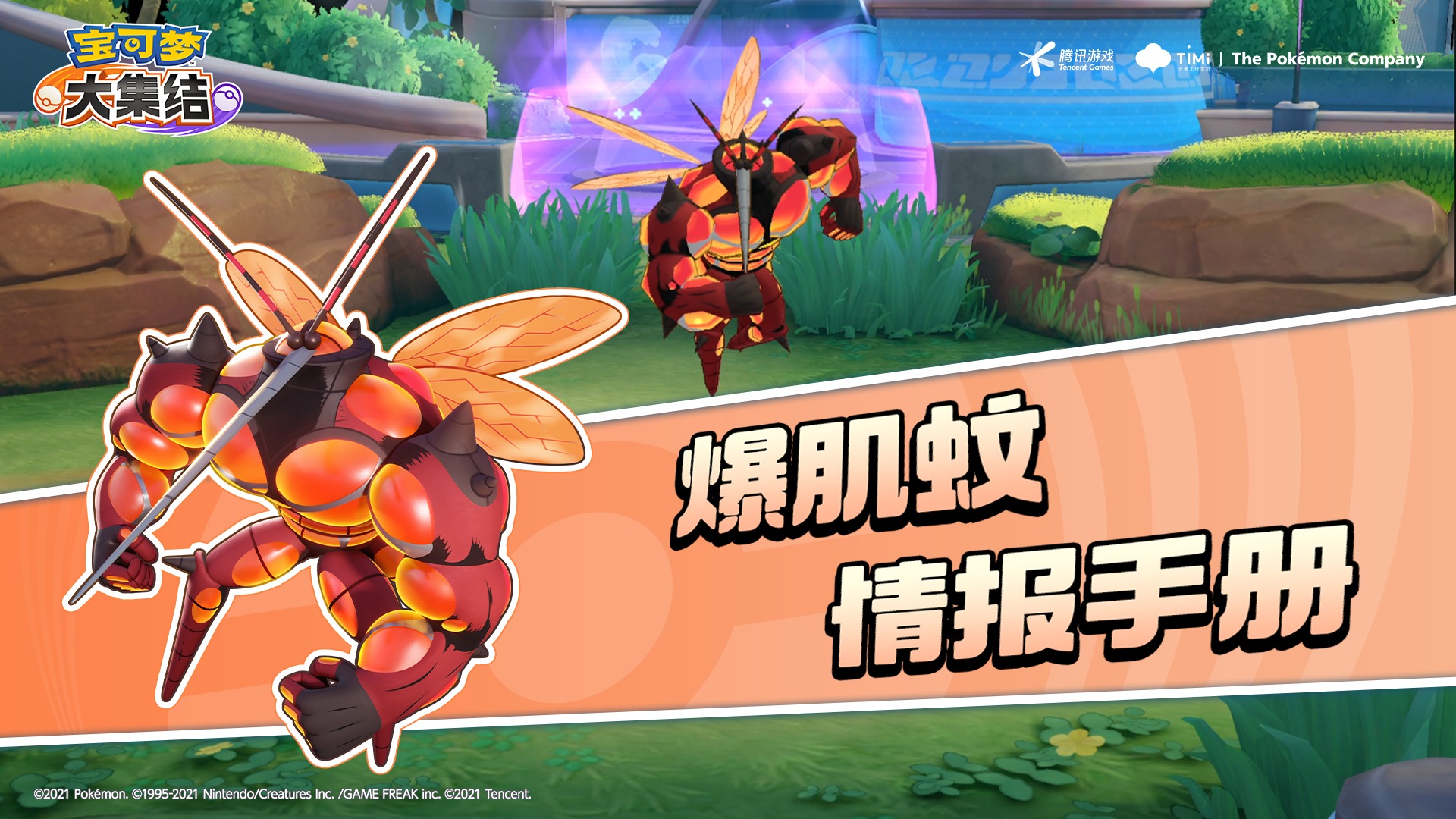 亿奥斯岛情报手册｜爆肌蚊——健美达“蚊”，拳力出击！