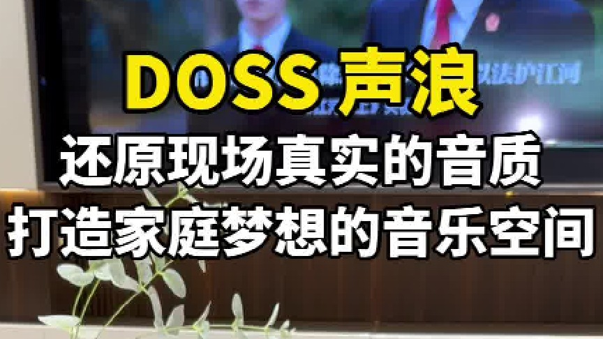 不要再乱买音箱啦！来听听这个！DOSS全景声音箱，用纯净音质征服你的耳朵。
