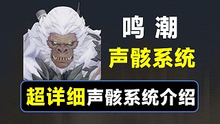 【鳴潮】聲骸系統(tǒng)講解，一個視頻搞懂聲骸系統(tǒng)