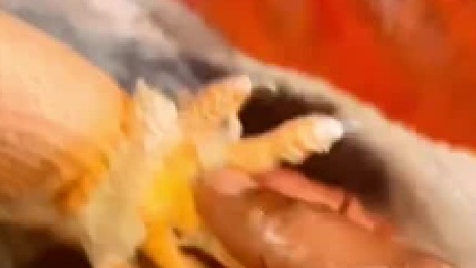 感觉好解压哦，我也想玩