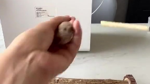 “怎么突然就饱了”