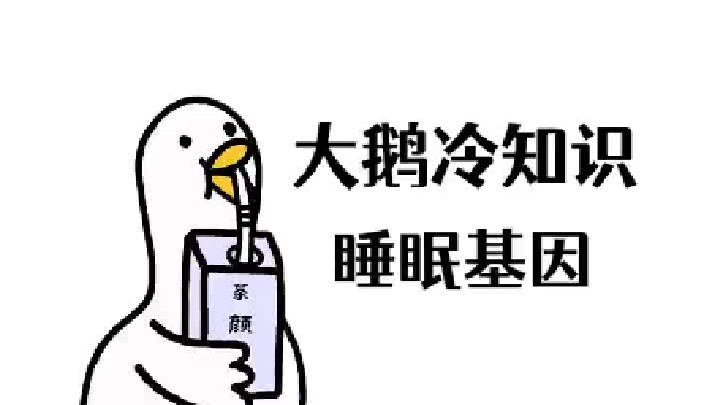 睡得久不是我的错，谁让我天生如此呢！