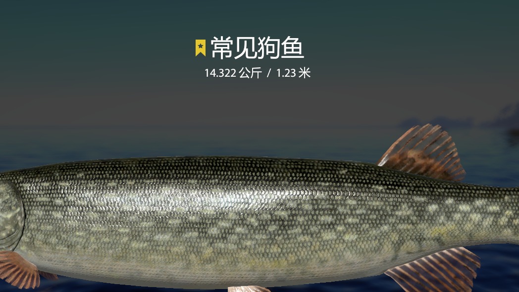 老奥没星狗必看