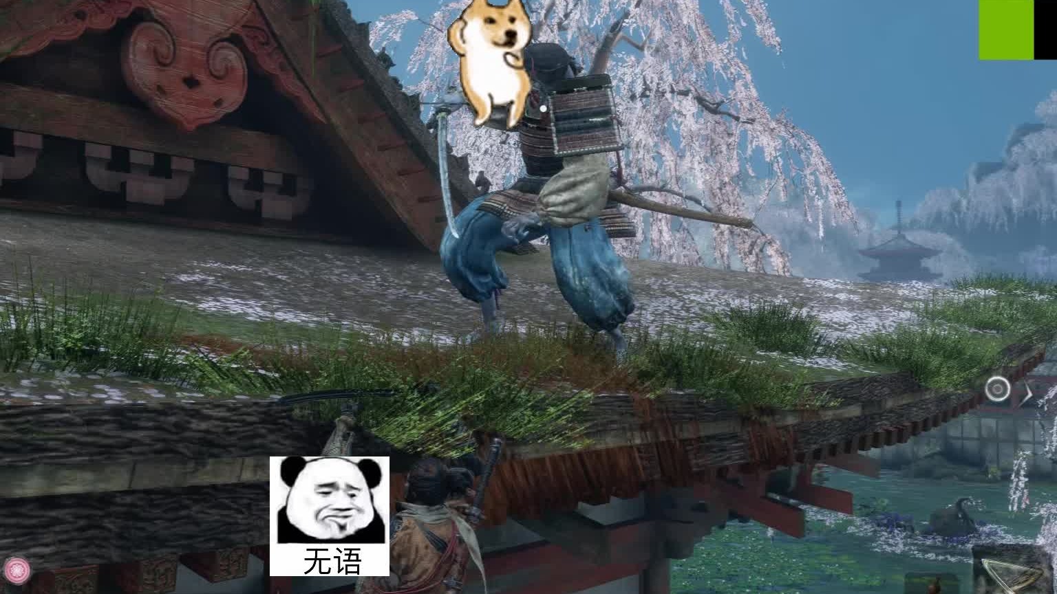 只狼！探戈金曲！无语中。。。。