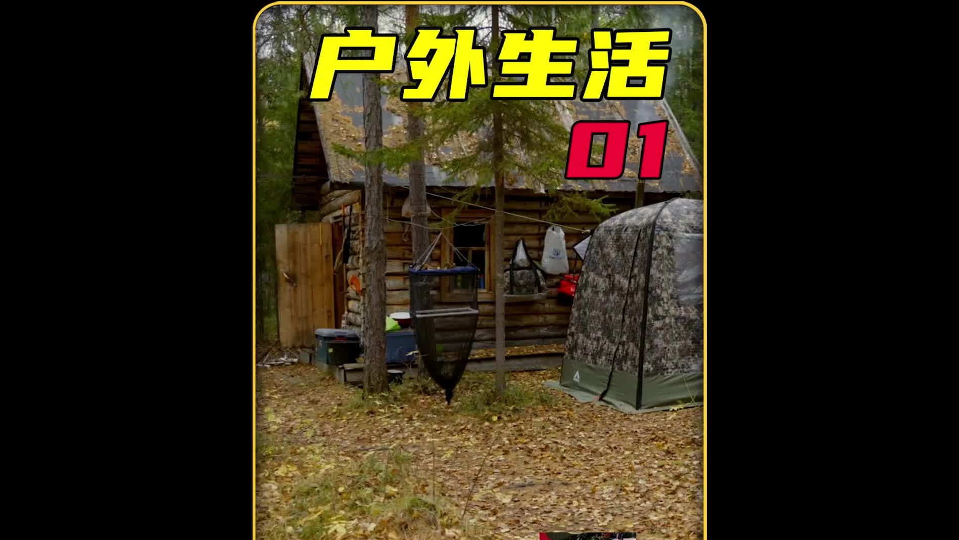 让人羡慕的夫妻