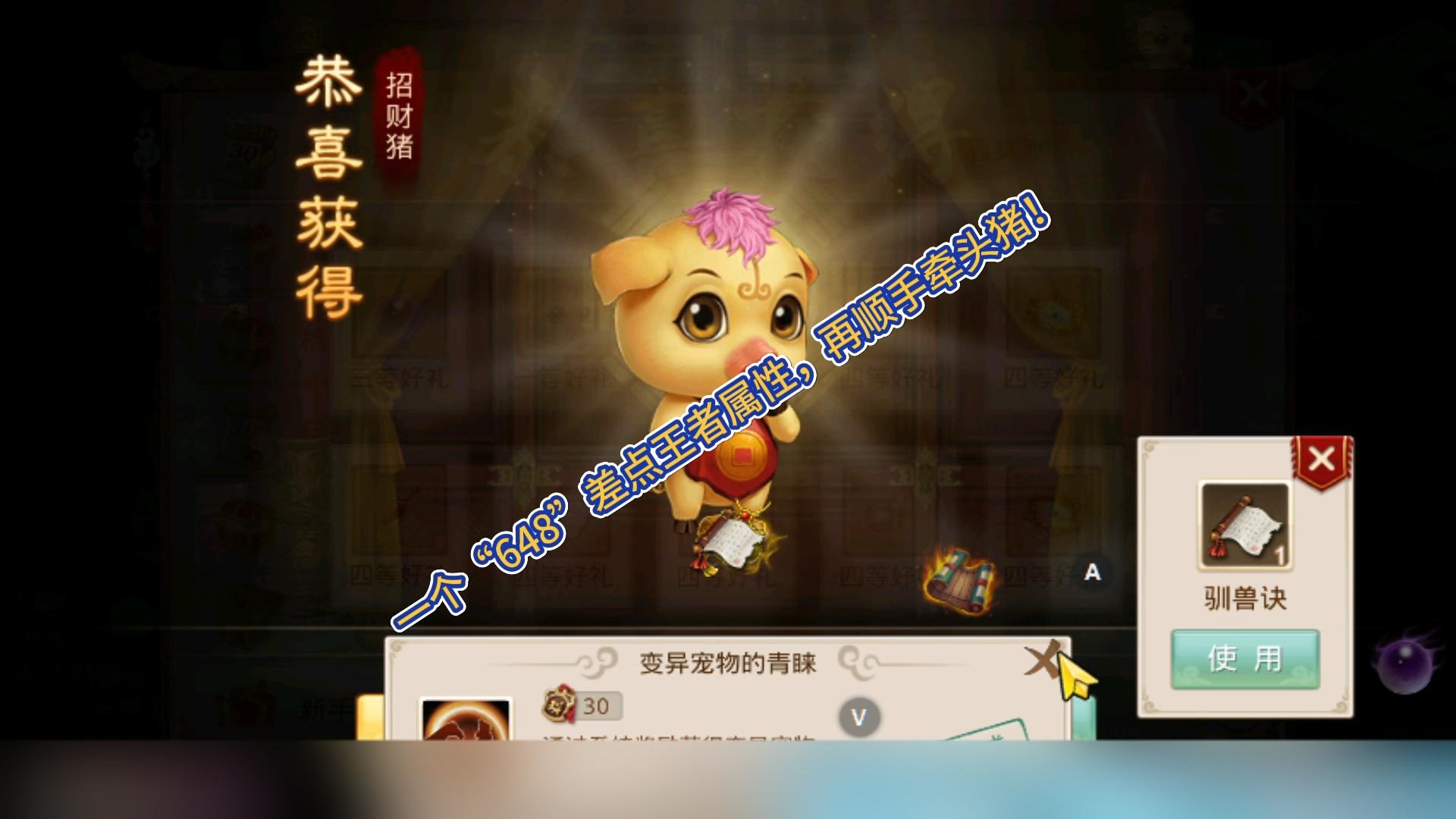 “缓缓”小姐姐，648差点王者套还顺手牵猪