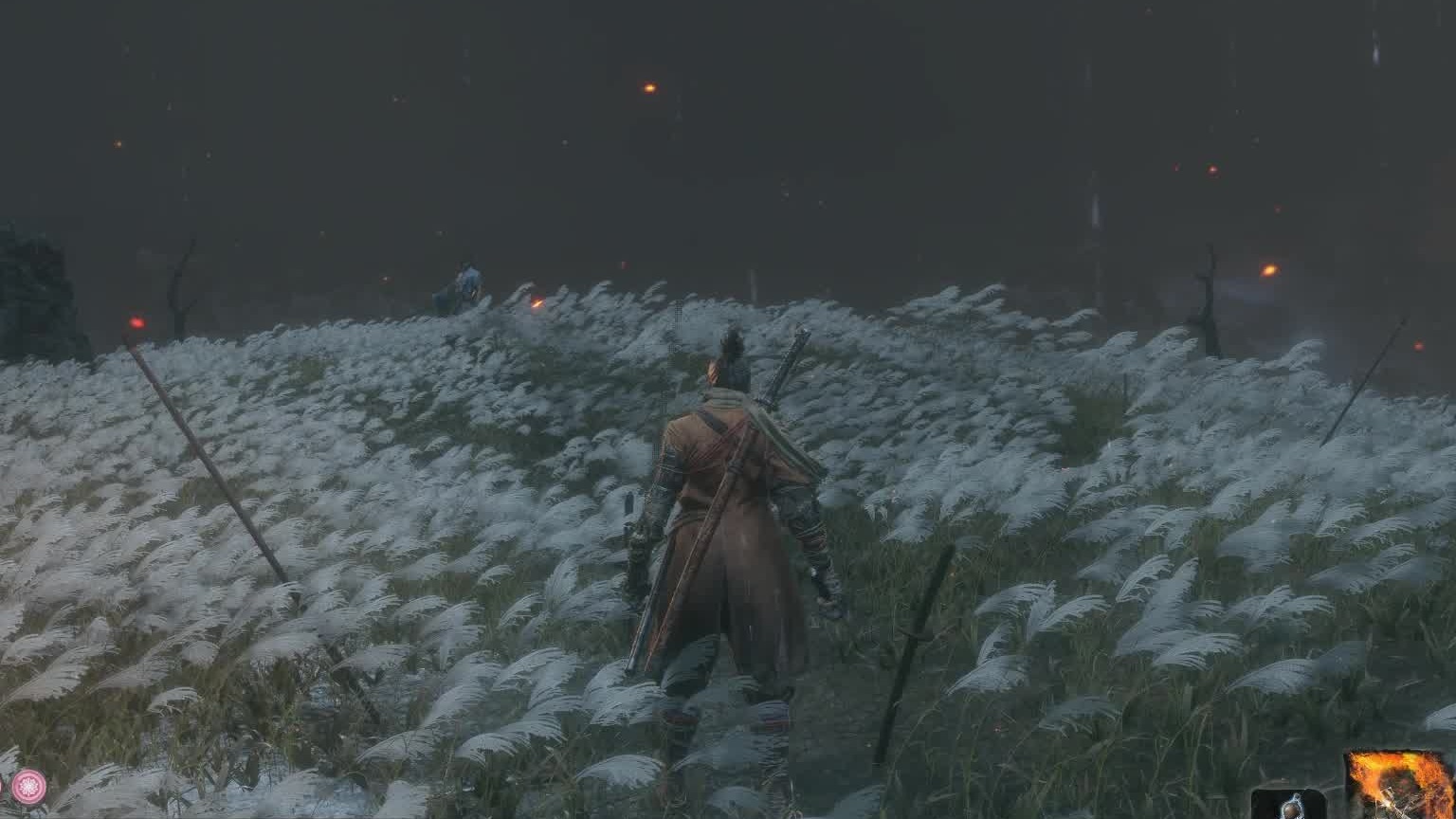 只狼！剑圣 苇名一心！鱿鱼！就烤着吃！