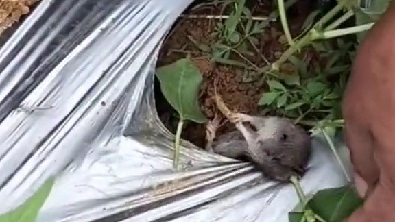 这是什么情况？