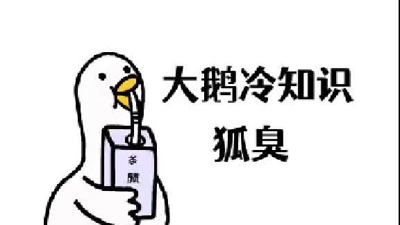 鹅～夏天就要到了