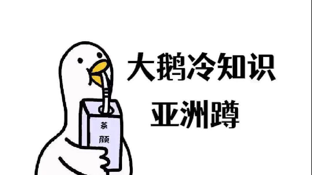 我居然掌握了一项了不起的技能 ！