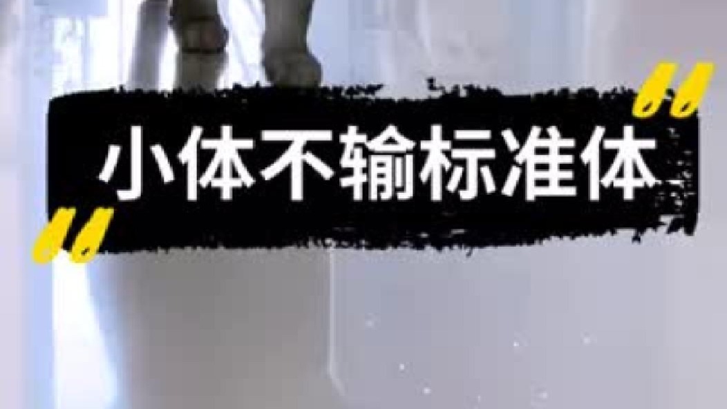 《我家的那些喵》