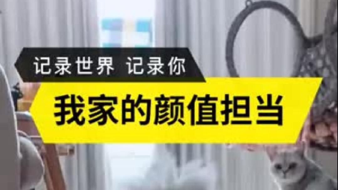 标准的拿破仑体