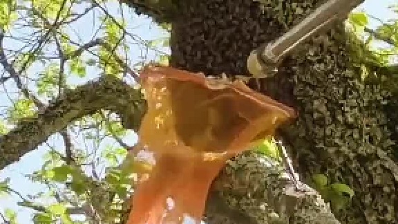 这样收回来了不跑吗？