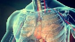 看完这个视频，你将会重新审视自己与身体的关系 人体奥秘 免疫系统 免疫细胞 生命科学