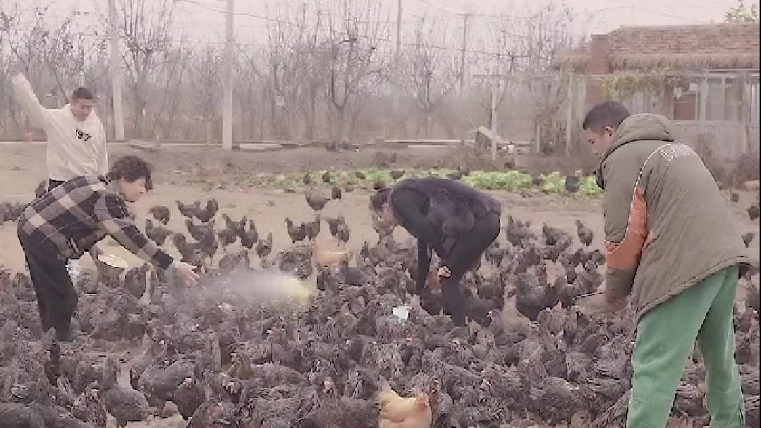 晴晴表妹竟然对小江一见钟情！