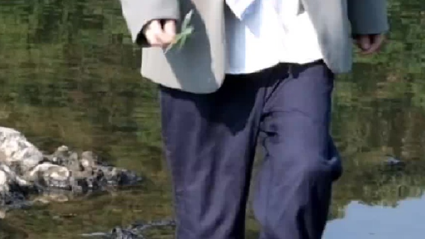 拔了我吧，我不会开花