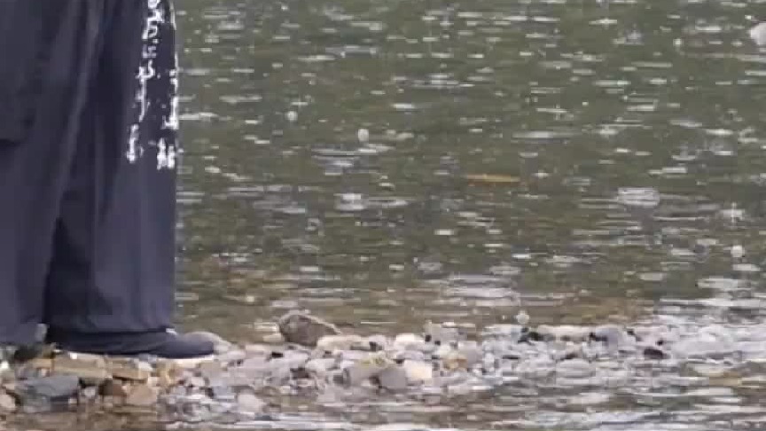 我凌于山壑万里，一生自由随风起