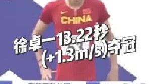 日本大奖赛系列赛布势短跑赛男子110米栏A组决赛