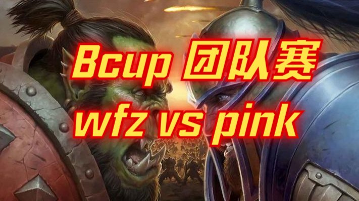 Bcup 团队赛 wfz vs pink（2024年6月4日）