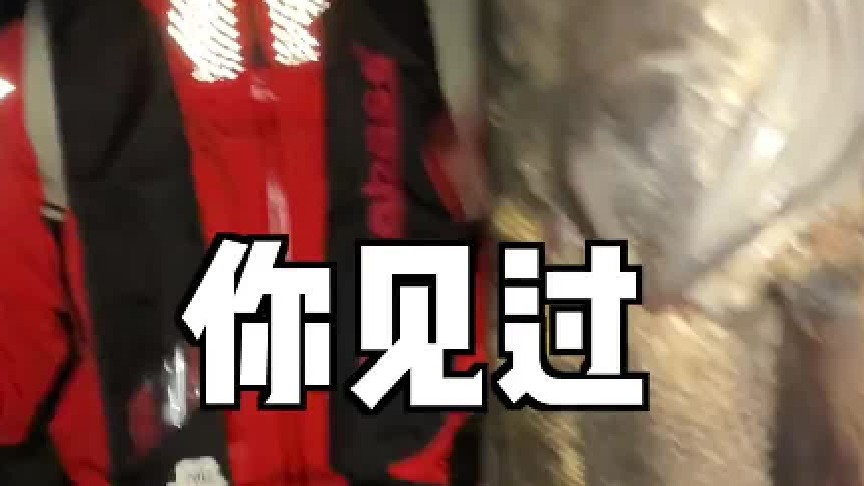 这是有史以来，我俩钓过最艰辛的一次鱼了…