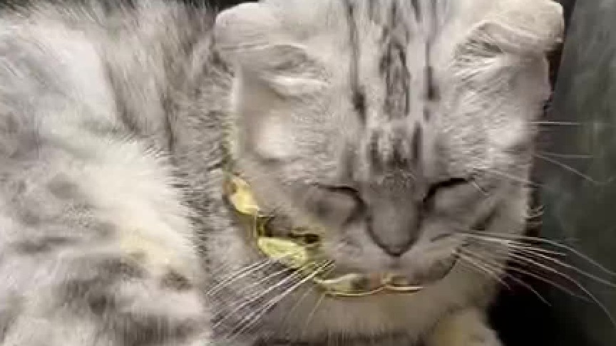 偷鸡不成蚀把米啊。