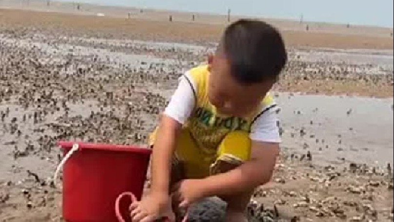 每天都记录我的农村真实生活日常