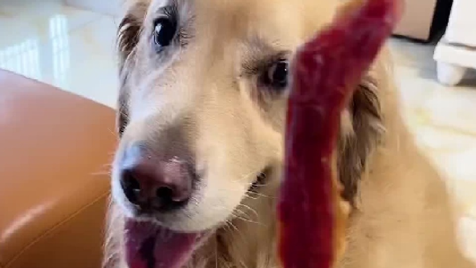 橙子：我拿可乐当可乐，可乐拿我当傻波。