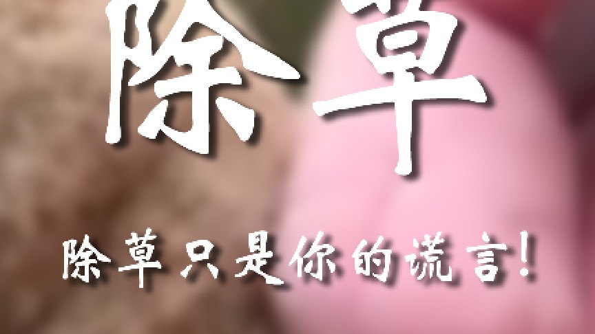 有需要就喊我嗷